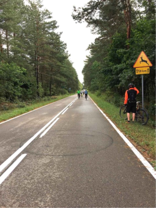 Cycling in Poland.jpg